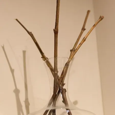 Apartment Hortus Conclusus + Free Parking