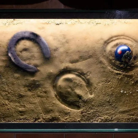 Apartment Hortus Conclusus + Free Parking Siena